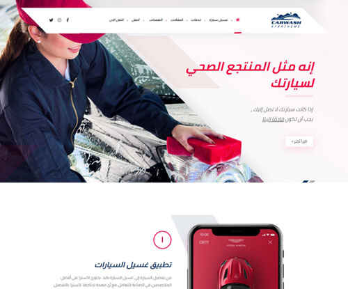Professional WordPress Design Deals! - car wash